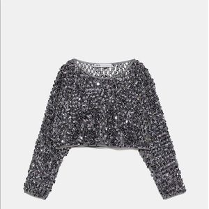 Zara limited edition mesh sequin sweater